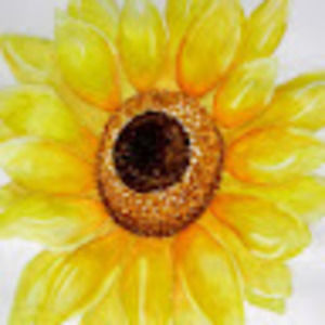 Meet your Posher, Hilary